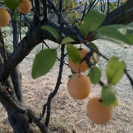 Nocleg ze śniadaniem Casa Amrita