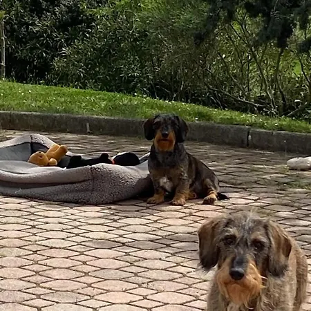 Casa Amrita Nocleg ze śniadaniem