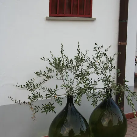Casa Amrita 3* テーラモ