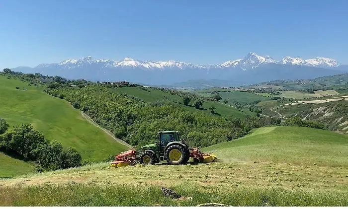 Casa Amrita فندق مبيت وإفطار تيرامو