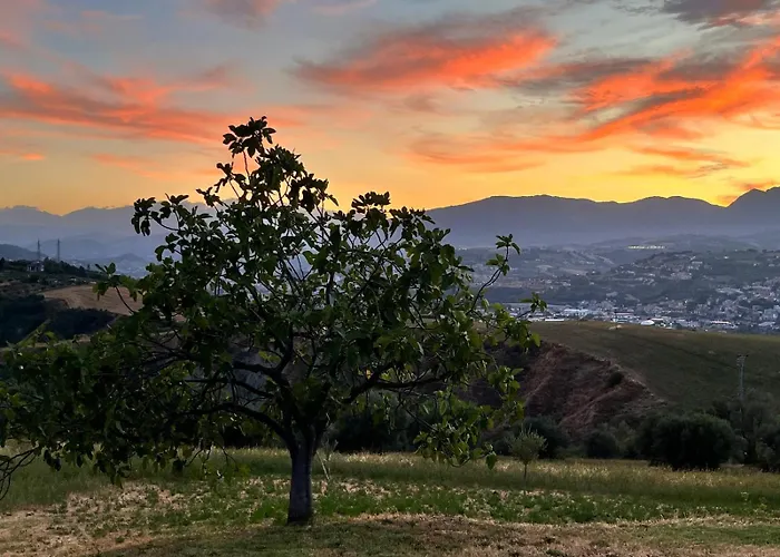 Casa Amrita فندق مبيت وإفطار 3*