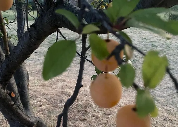 Oda ve Kahvaltı Casa Amrita