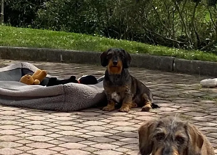 Casa Amrita Bed & Breakfast