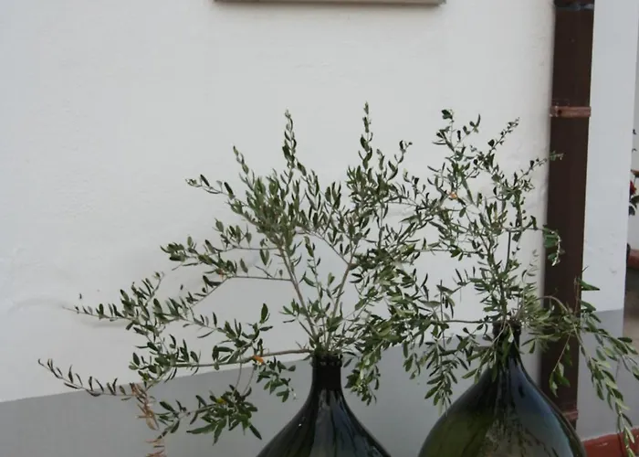 Casa Amrita 3* تيرامو